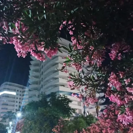 My Marine Lux Sea View Apartment Alanya